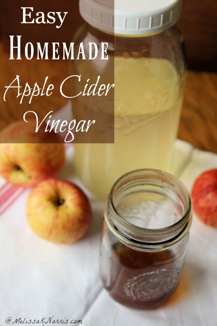 Quick And Easy Homemade Apple Cider Vinegar Recipes