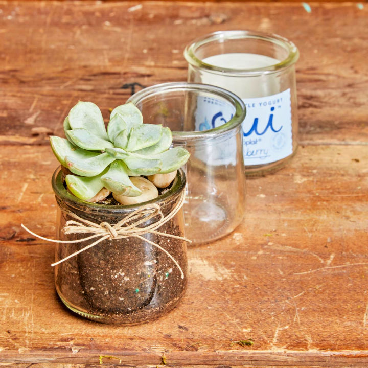 15 Easy DIY Succulent Terrarium Ideas How To Make