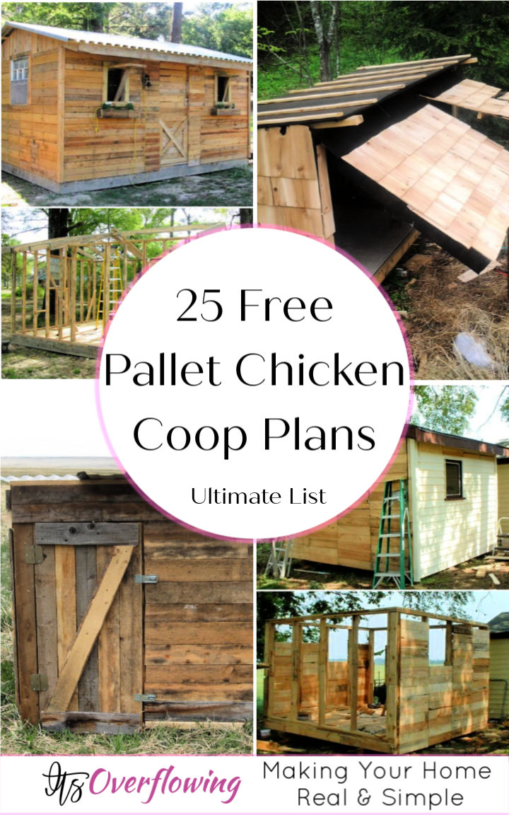 25 Free Pallet Chicken Coop Plans (Step by Step Guide)