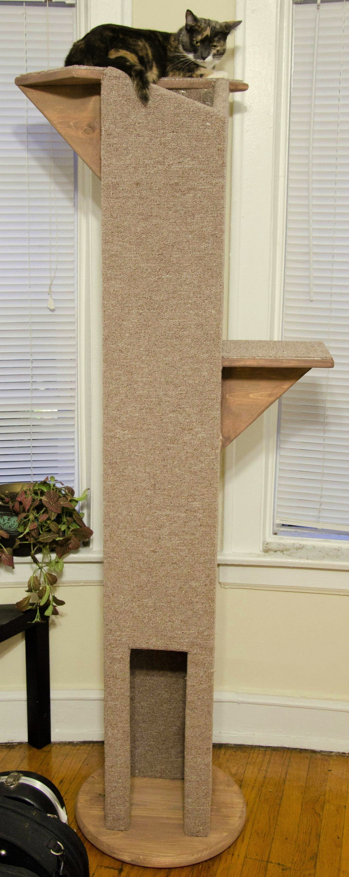 22 Free DIY Cat Tree Plans (How to Build a Cat Tree)