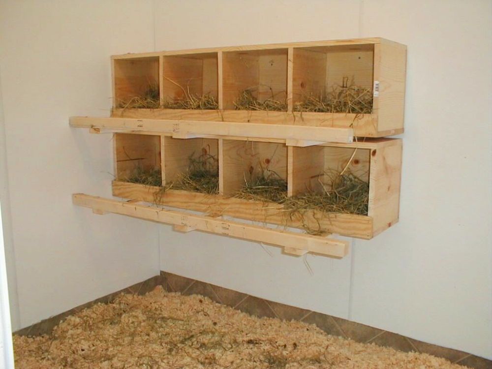 30 DIY Chicken Nesting Boxes (Learn How To Build Yours)