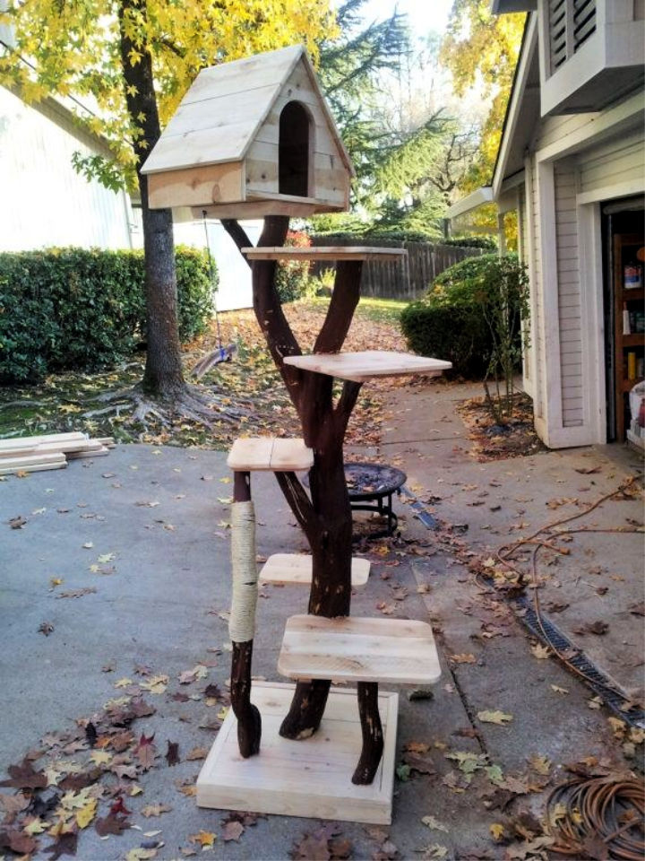 15 Free DIY Outdoor Cat Tree Ideas and Plans