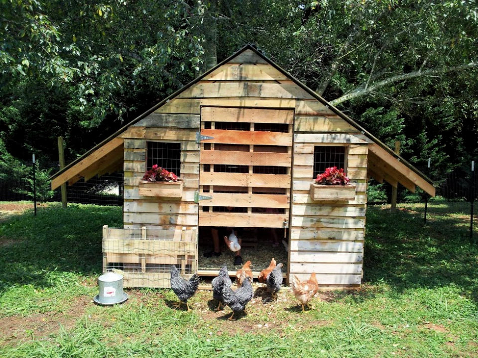 Chicken coop skid plans The year in letters