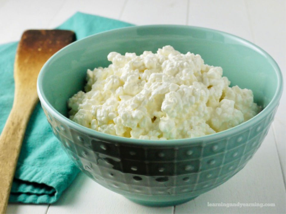 15 Best Homemade Cottage Cheese Recipes 