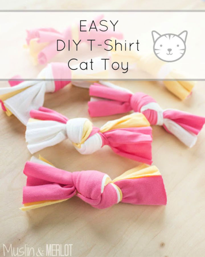 easy diy cat toys