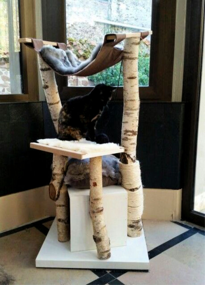 15 Free Diy Outdoor Cat Tree Ideas And Plans