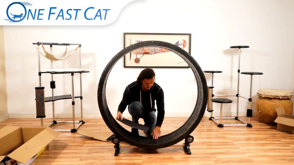 cat wheel toy