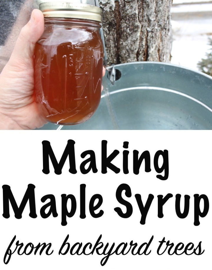 15 Best Homemade Maple Syrup Recipes