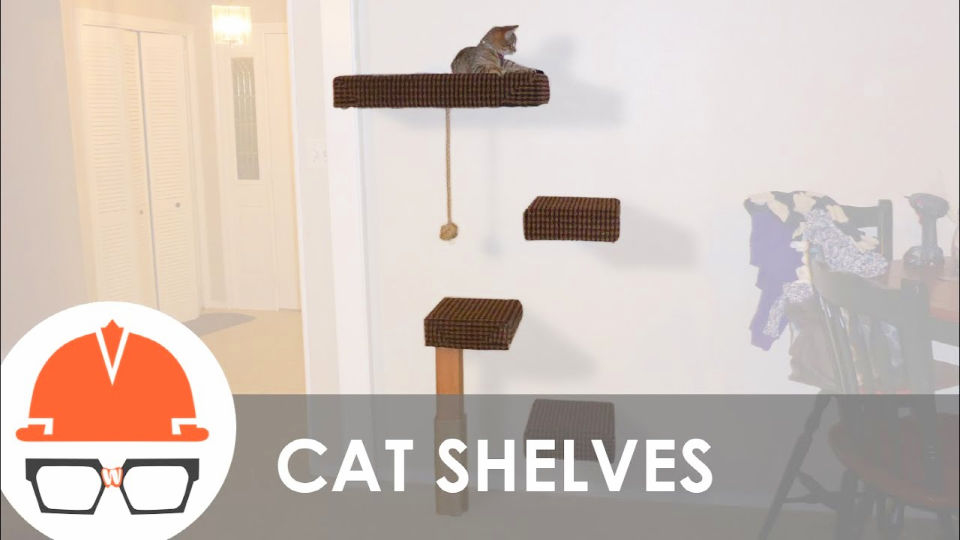 DIY Cat Shelves (14 Easy DIY Cat Wall Ideas)