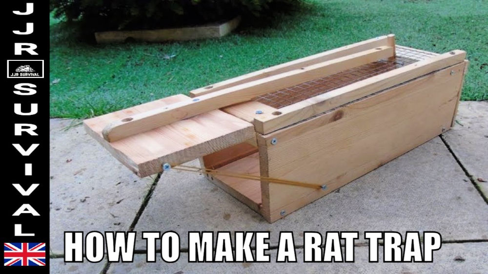 Homemade Mouse Trap (15 DIY Rat Traps that Really Work)