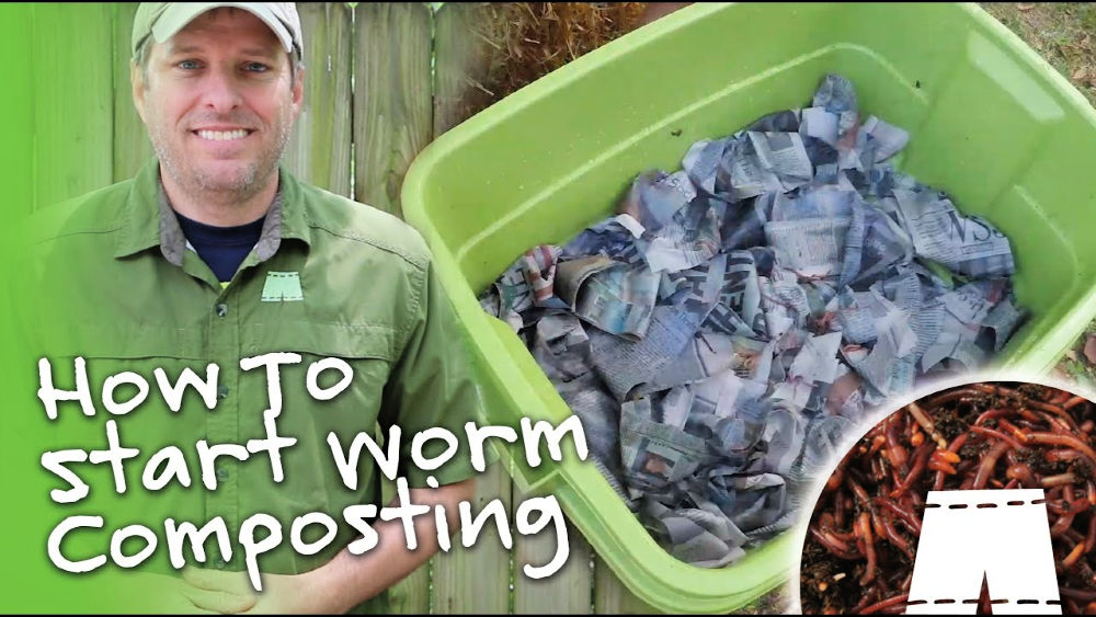 diy-worm-farm-how-to-make-a-worm-compost-bin