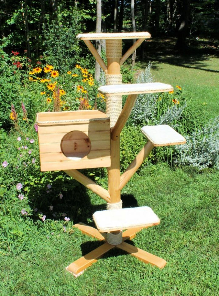 15 Free Diy Outdoor Cat Tree Ideas And Plans