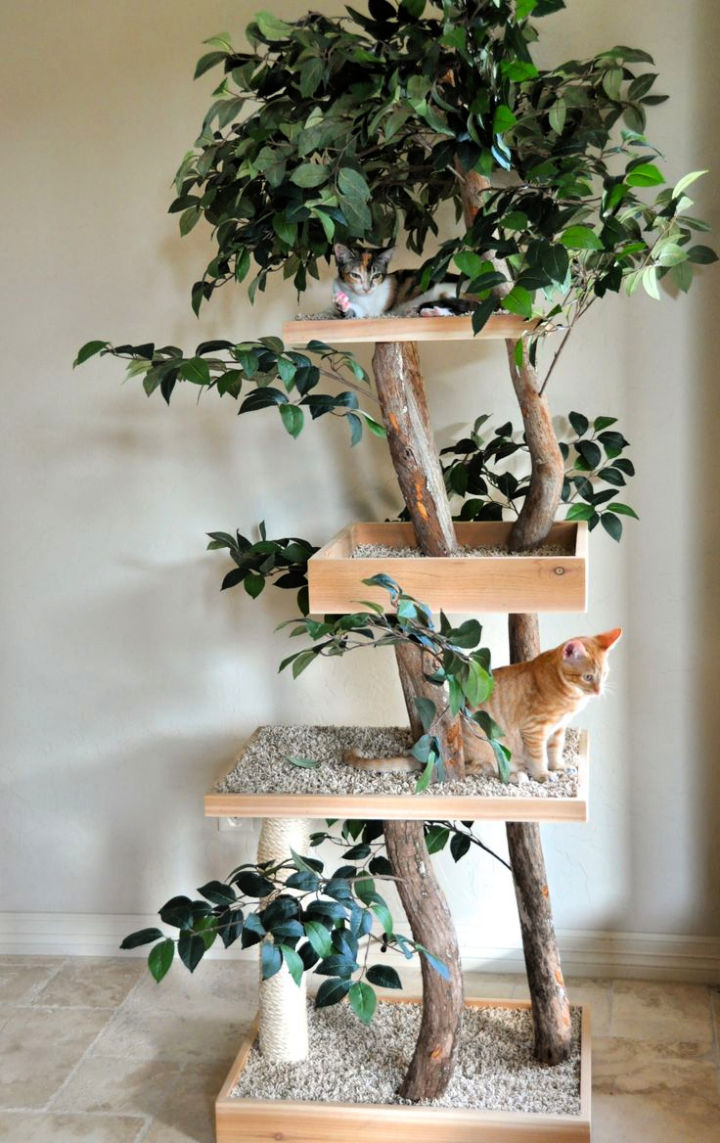 15 Free DIY Outdoor Cat Tree Ideas and Plans