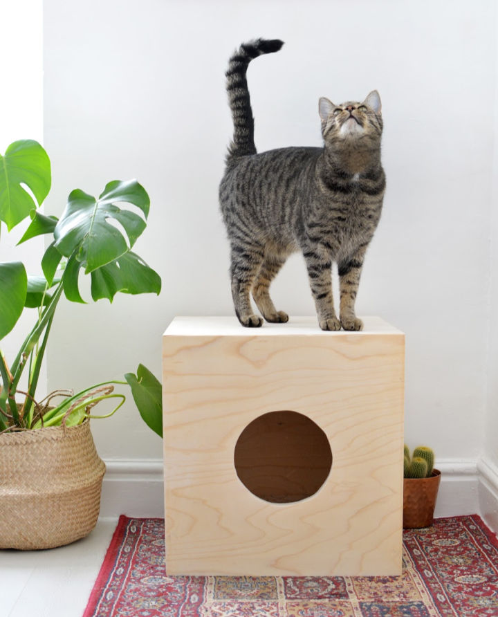 10 DIY Outdoor Cat House Ideas (Weatherproof Cat Shelter)