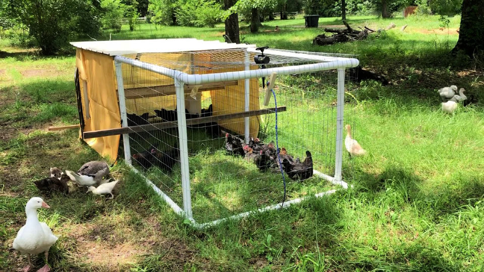 10 Free Diy Pvc Chicken Tractor Plans • Its Overflowing