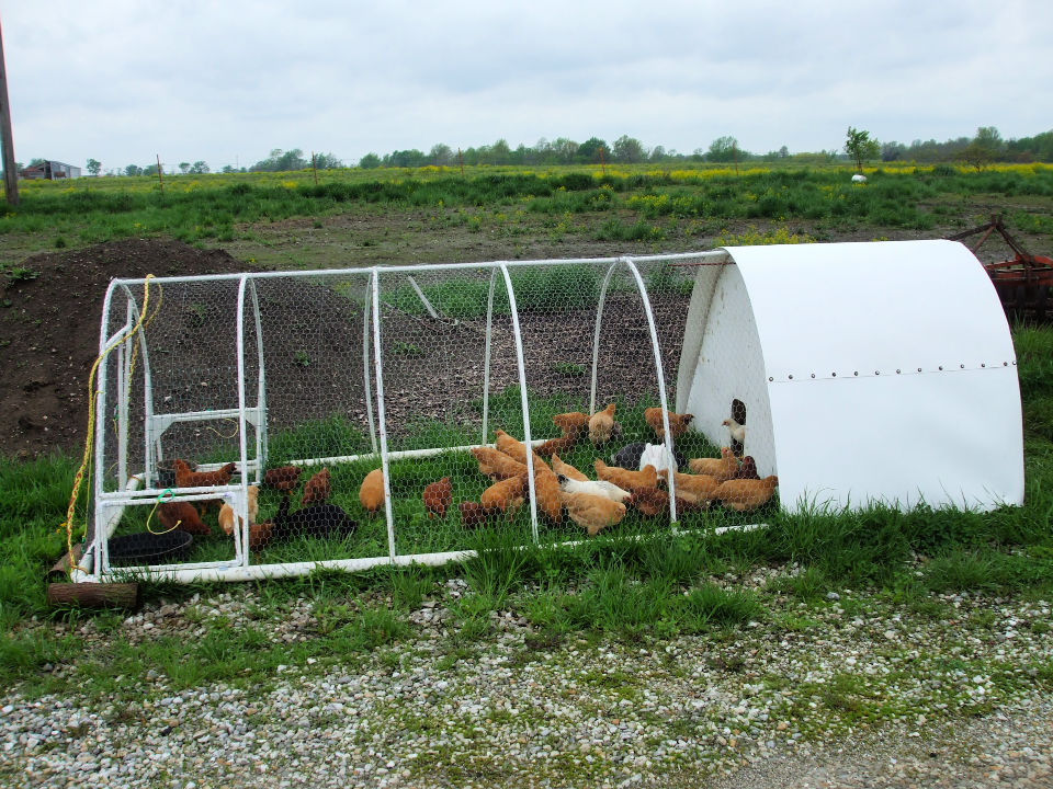 30 Free DIY Chicken Tractor Plans (Easy Building Steps)