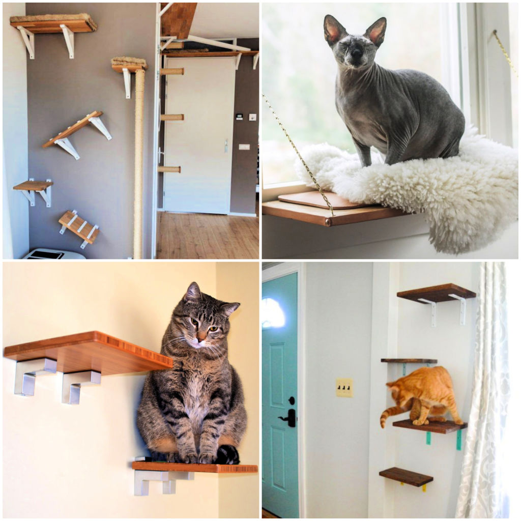 DIY Cat Shelves (14 Easy DIY Cat Wall Ideas)