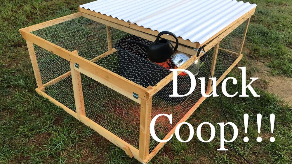 22-free-diy-duck-house-plans-with-detailed-instructions