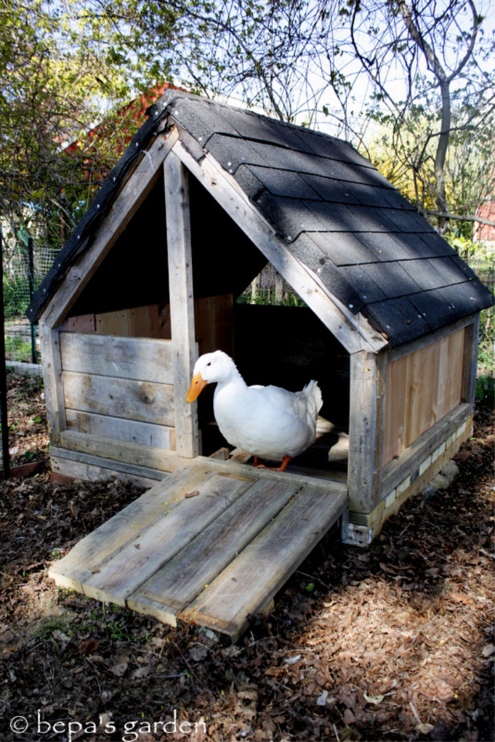 22 Free DIY Duck House Plans With Detailed Instructions