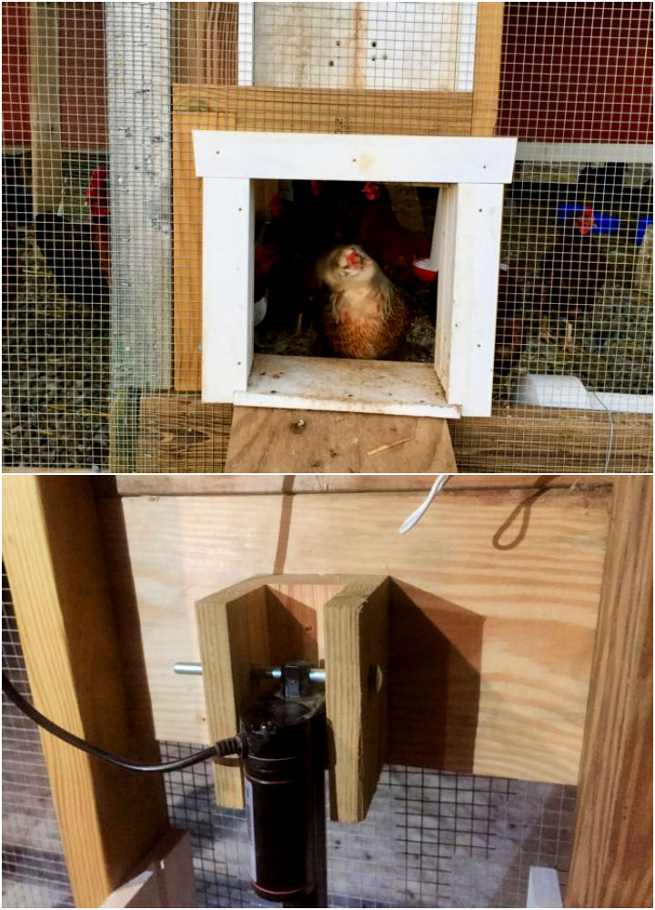 DIY Automatic Chicken Coop Door
 10 DIY Automatic Chicken Coop Door Ideas and Plans