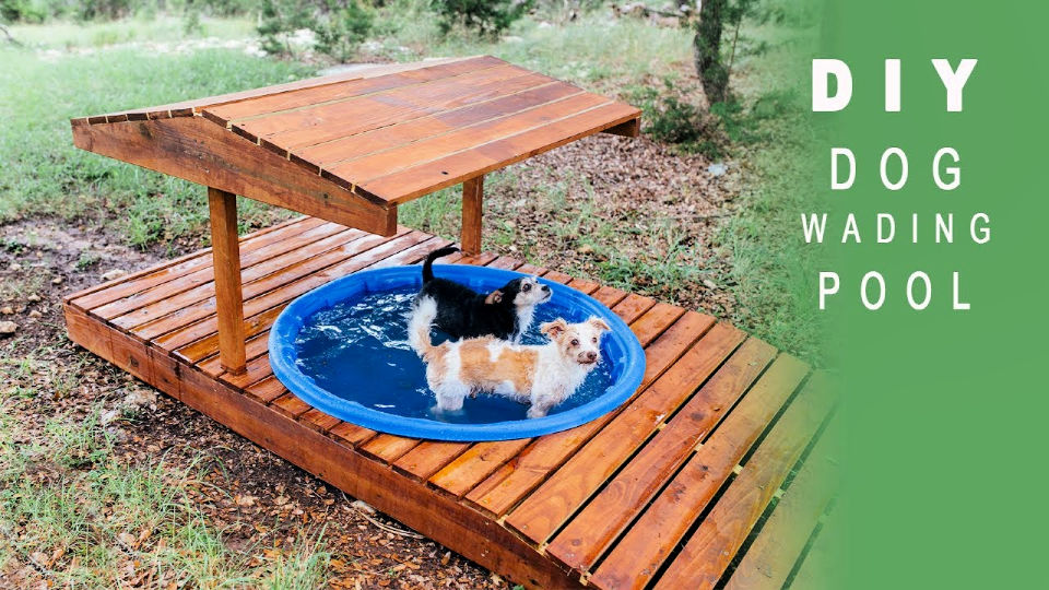 8 Easy DIY Dog Pool Ideas - Its Overflowing