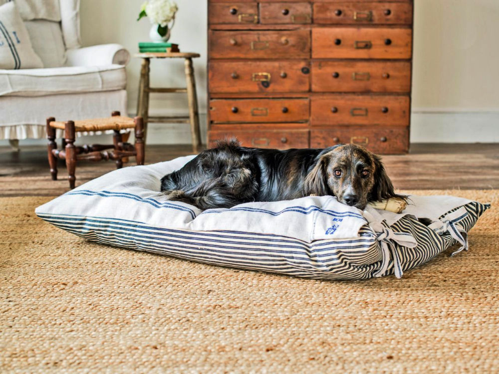 30 Homemade DIY Dog Bed Ideas (How to Make a Dog Bed)