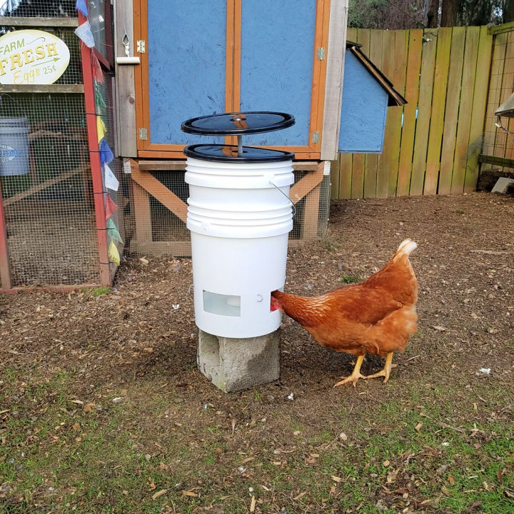 15 DIY Chicken Waterer Ideas Out Of Recycled Materials