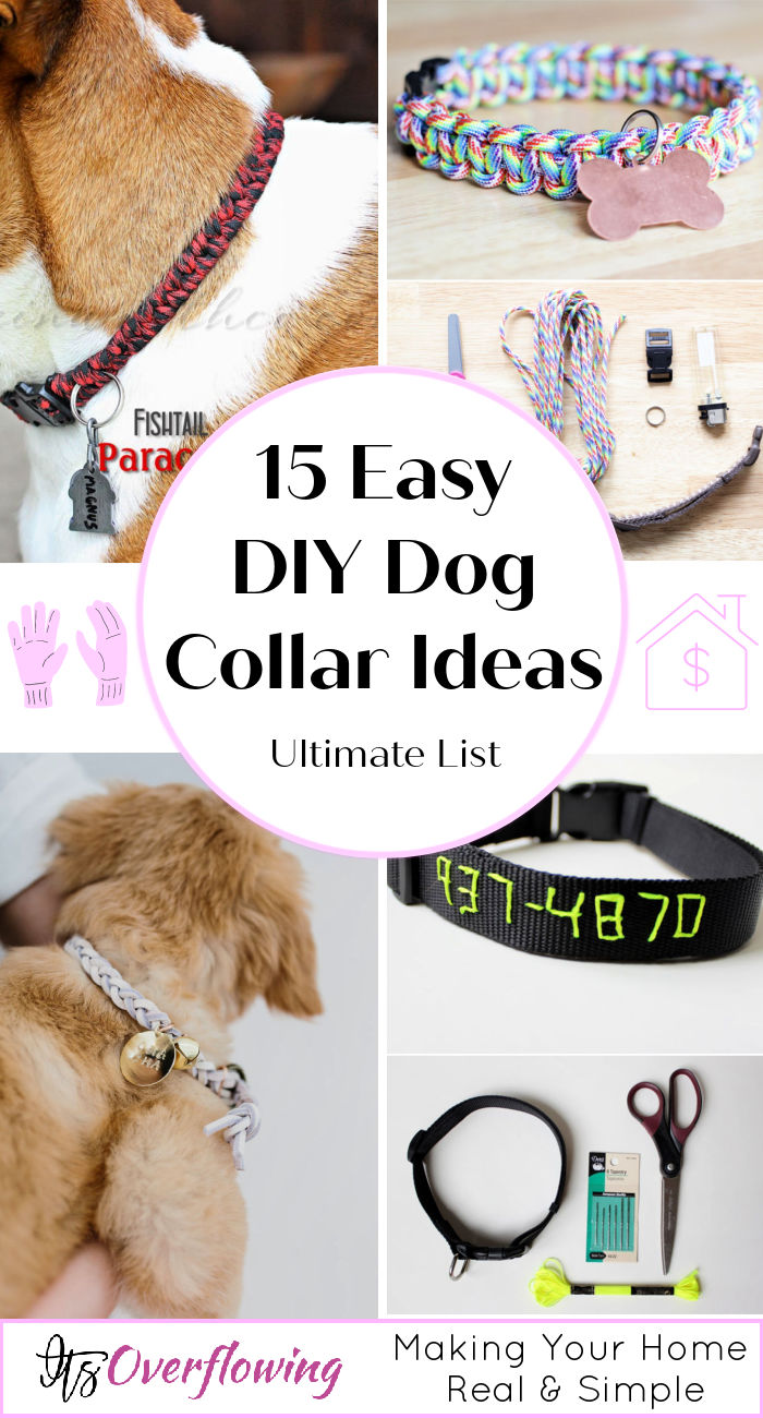 How to Make a Dog Collar (15 DIY Dog Collar Ideas)