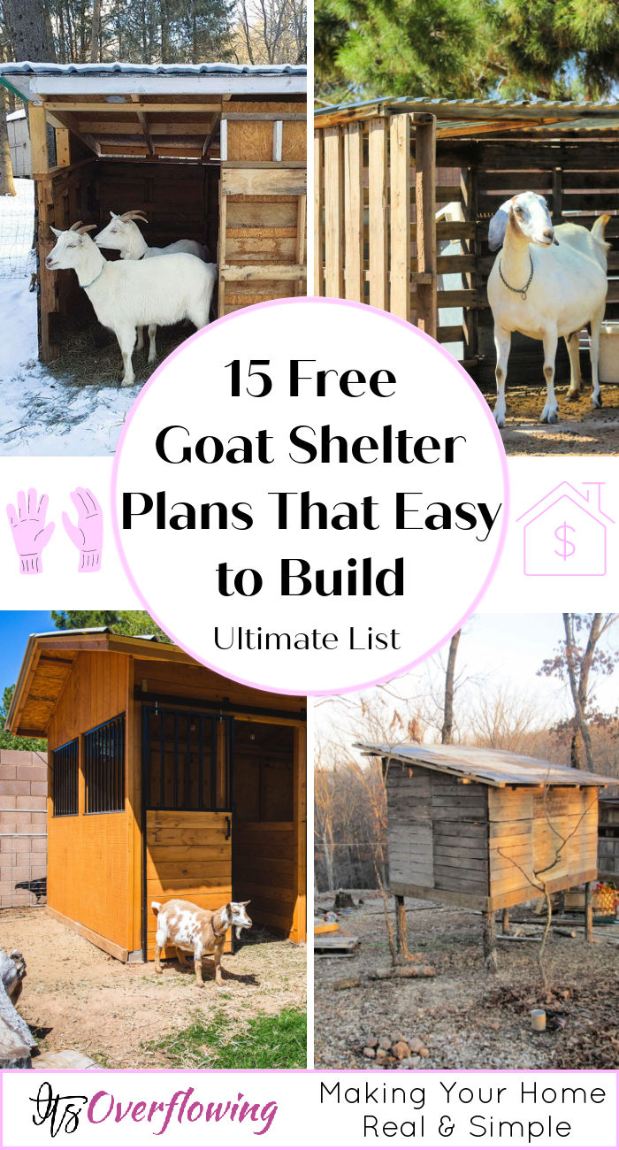 15 Free DIY Goat Shelter Plans (Easy Goat House Ideas)