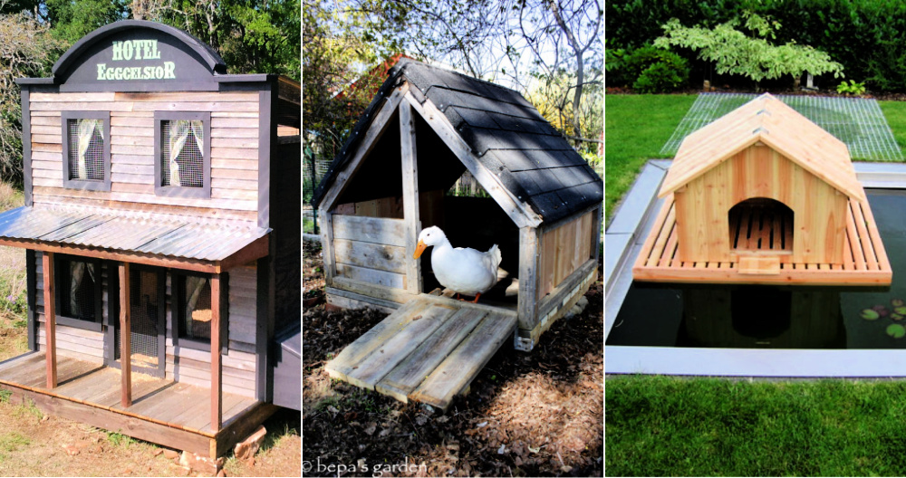 22 Free DIY Duck House Plans And Ideas To Build Yours